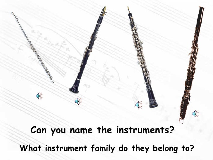 Monica Autrys Instrumentsofthe Orchestra2