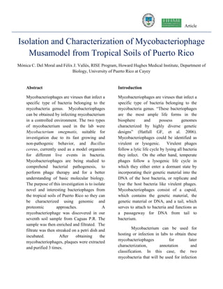 Article
Abstract
Mycobacteriophages are viruses that infect a
specific type of bacteria belonging to the
mycobacteria genus. Mycobacteriophages
can be obtained by infecting mycobacterium
in a controlled environment. The two types
of mycobacterium used in the lab were
Mycobacterium smegmatis, suitable for
investigation due to its fast growing and
non-pathogenic behavior, and Bacillus
cereus, currently used as a model organism
for different live events in bacteria.
Mycobacteriophages are being studied to
comprehend bacterial pathogenesis, to
perform phage therapy and for a better
understanding of basic molecular biology.
The purpose of this investigation is to isolate
novel and interesting bacteriophages from
the tropical soils of Puerto Rico so they can
be characterized using genomic and
proteomic approaches. A
mycobacteriophage was discovered in our
seventh soil sample from Caguas P.R. The
sample was then enriched and filtrated. The
filtrate was then streaked on a petri dish and
incubated. After obtaining the
mycobacteriophages, plaques were extracted
and purified 3 times.
Introduction
Mycobacteriophages are viruses that infect a
specific type of bacteria belonging to the
mycobacteria genus. “These bacteriophages
are the most ample life forms in the
biosphere and possess genomes
characterized by highly diverse genetic
designs” (Hatfull GF, et al. 2006).
Mycobacteriophages could be identified as
virulent or lysogenic. Virulent phages
follow a lytic life cycle by lysing all bacteria
they infect. On the other hand, temperate
phages follow a lysogenic life cycle in
which they either enter a dormant state by
incorporating their genetic material into the
DNA of the host bacteria, or replicate and
lyse the host bacteria like virulent phages.
Mycobacteriophages consist of a capsid,
which contains the genetic material, the
genetic material or DNA, and a tail, which
serves to attach to bacteria and functions as
a passageway for DNA from tail to
bacterium.
Mycobacterium can be used for
hosting or infection in labs to obtain these
mycobacteriophages for later
characterization, annotation and
classification. In this case, the two
mycobacteria that will be used for infection
Isolation and Characterization of Mycobacteriophage
Musamodel from Tropical Soils of Puerto Rico
Mónica C. Del Moral and Félix J. Vallés, RISE Program, Howard Hughes Medical Institute, Department of
Biology, University of Puerto Rico at Cayey
 