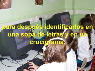 para después identificarlos en una sopa de letras y en un crucigrama. 