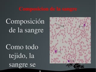 Su función principal es la logística de distribución e integración sistémica, cuya contención en los vasos sanguíneos (espacio vascular) admite su distribución (circulación sanguínea) hacia casi todo el cuerpo. 