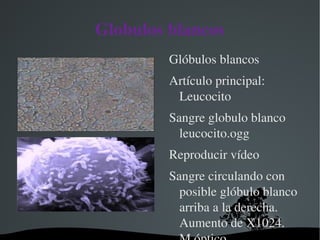 Energetica  lleva las sustancias nutritivas a todas las celulas 