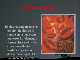 Termoreguladora  distribuye el calor 