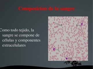Composicion de la sangre Como todo tejido, la sangre se compone de células y componentes extracelulares   