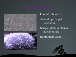 Artículo principal: Eritrocito 