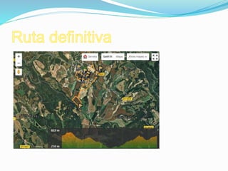 Mònica, Mariona i Paula