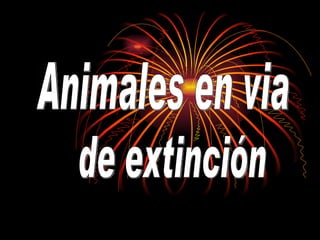 Animales en via  de extinción 