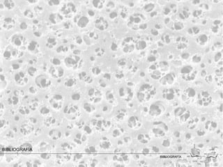 BIBLIOGRAFÍA
               BIBLIOGRAFÍA
 