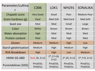 Parameter/cultiva
                           C306           LOK1       WH291 SONALIKA
       r
   Chapatti score        Very Good         Good         Poor       Medium Poor
 Grain hardness (g)         Hard         Med Soft    Med hard       Med Soft
     Seed size              Med            Med         Small          Large
        Color              White          Brown        Brown         Brown
 Water absorption           High           Med          Med           Med
  Protein content           Med            Med          High          Med
       Gluten             Medium         Medium         High           Low
Starch gelatinisation     Medium           High       Medium          High
  RVA Breakdown             High           High         Low          Medium
                                         2*,17+18,
   HMW-GS-ABD           Null, 20, 2+12
                                           2+12
                                                     2*,20, 2+12   2*,7+9, 2+12

                          PinaD1b,       PinaD1b,     PinaD1b,      PinaD1a,
Puroindolines (5DS)       PinbD1a        PinbD1a      PinbD1a       PinbD1b
 