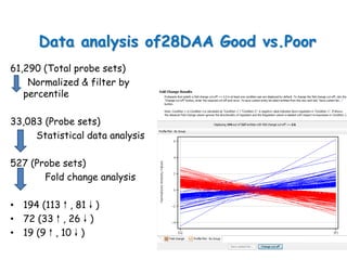 Data analysis of28DAA Good vs.Poor
61,290 (Total probe sets)
    Normalized & filter by
   percentile

33,083 (Probe sets)
     Statistical data analysis

527 (Probe sets)
       Fold change analysis

• 194 (113↑, 81↓)
• 72 (33↑, 26↓)
• 19 (9↑, 10↓)
 