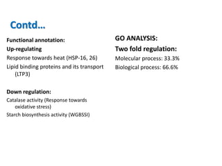 Contd…
Functional annotation:                     GO ANALYSIS:
Up-regulating                              Two fold regulation:
Response towards heat (HSP-16, 26)         Molecular process: 33.3%
Lipid binding proteins and its transport   Biological process: 66.6%
    (LTP3)

Down regulation:
Catalase activity (Response towards
    oxidative stress)
Starch biosynthesis activity (WGBSSI)
 