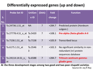 Differentially expressed genes (up and down)
         Probe Set ID    UniGen (DAA)        Fold               Function
 S.                       e ID             change
No.
 1 Ta.24736.1.S1_at     NA           7     +284.7    Predicted protein (Hordeum
                                                     vulgare )
 2    Ta.27778.4.S1_x_at Ta.5420     7     +108.1    Pre-alpha-/beta-gliadin A-II
                         6
 3    Ta.7158.1.S1_at    Ta.7158     7     +105.9    Transcribed locus

 4    Ta.6175.1.S1_at   Ta.3546      7     +102.3 No significant similarity in non-
                        3                         redundant (nr) protein
                                                  sequences database
 5 Ta.24114.14.S1_x_ Ta.6588       7     +284.7 Triticum aestivum gamma-
     at                1                          gliadin gene
At the three development stages among two good and two poor chapatti varieties
                                                                               23
                                                                 Source-Dr. Joy K Roy
 