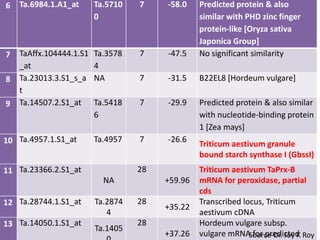 6   Ta.6984.1.A1_at      Ta.5710   7    -58.0    Predicted protein & also
                         0                       similar with PHD zinc finger
                                                 protein-like [Oryza sativa
                                                 Japonica Group]
7   TaAffx.104444.1.S1   Ta.3578   7    -47.5    No significant similarity
    _at                  4
8   Ta.23013.3.S1_s_a    NA        7    -31.5    B22EL8 [Hordeum vulgare]
    t
9   Ta.14507.2.S1_at     Ta.5418   7    -29.9    Predicted protein & also similar
                         6                       with nucleotide-binding protein
                                                 1 [Zea mays]
10 Ta.4957.1.S1_at       Ta.4957   7    -26.6
                                                 Triticum aestivum granule
                                                 bound starch synthase I (GbssI)
11 Ta.23366.2.S1_at                28            Triticum aestivum TaPrx-B
                           NA           +59.96   mRNA for peroxidase, partial
                                                 cds
12 Ta.28744.1.S1_at      Ta.2874   28            Transcribed locus, Triticum
                                        +35.22
                            4                    aestivum cDNA
13 Ta.14050.1.S1_at                28            Hordeum vulgare subsp.
                         Ta.1405                                            24
                                        +37.26   vulgare mRNASource-Dr. Joy K Roy
                                                                for predicted
 