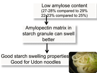 Low amylose content
                  (27-28% compared to 29%
                  22-23% compared to 25%)


          Amylopectin matrix in
         starch granule can swell
                  better


Good starch swelling properties-
   Good for Udon noodles
 