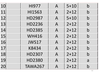 10     HI977   A   5+10   b
11    HI1563   A   2+12   b
12    HD2987   A   5+10   b
13    HD2236   A   2+12   b
14    HD2385   A   2+12   b
15    WH416    A   2+12   b
16    JWS17    A   2+12   b
17     K8434   A   2+12   b
18    HD2307   A   2+12   b
19    HD2380   A   2+12   a
20   TAWA267   A   2+12   b
                              52
 