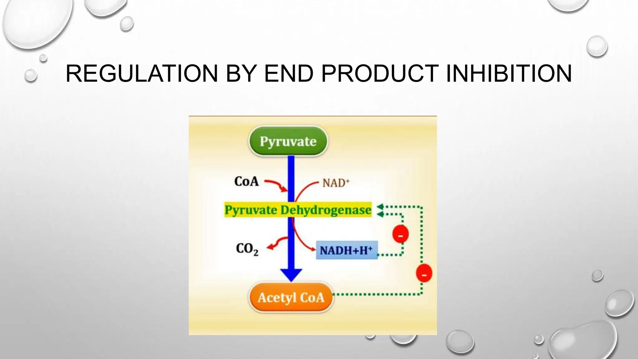 REGULATION BY END PRODUCT INHIBITION