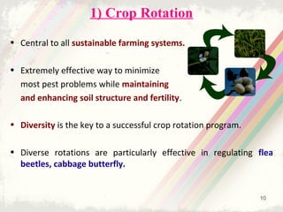 Insect-pest management in Organic Agriculture - Options and Challenges ...