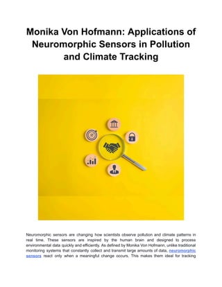 Monika Von Hofmann: Applications of Neuromorphic Sensors in Pollution ...