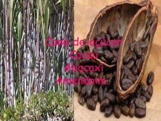 Conclusão


Cana-de-açúcar
    Cacau
   Abacaxi
  Amendoim.
 