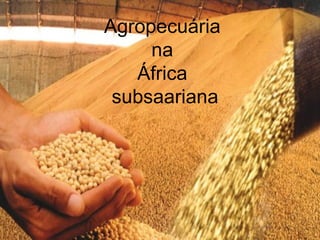 Agropecuária
     na
   África
 subsaariana
 