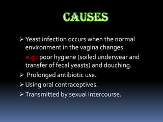  Yeast infection occurs when the normal
  environment in the vagina changes.
  e.g : poor hygiene (soiled underwear and
  transfer of fecal yeasts) and douching.
 Prolonged antibiotic use.
 Using oral contraceptives.
 Transmitted by sexual intercourse.
 