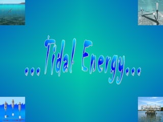 ...Tidal Energy... 