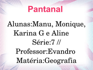 Pantanal
Alunas:Manu, Monique, 
Karina G e Aline       
Série:7 //
Professor:Evandro 
Matéria:Geografia
 