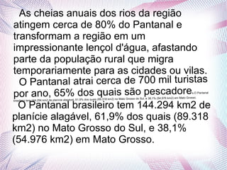 As cheias anuais dos rios da região
atingem cerca de 80% do Pantanal e
transformam a região em um
impressionante lençol d'água, afastando
parte da população rural que migra
temporariamente para as cidades ou vilas.
O Pantanal atrai cerca de 700 mil turistas
por ano, 65% dos quais são pescadores.O Pantanal
brasileiro tem 144.294 km2 de planície alagável, 61,9% dos quais (89.318 km2) no Mato Grosso do Sul, e 38,1% (54.976 km2) em Mato Grosso.
O Pantanal brasileiro tem 144.294 km2 de
planície alagável, 61,9% dos quais (89.318
km2) no Mato Grosso do Sul, e 38,1%
(54.976 km2) em Mato Grosso.
 