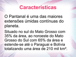 Características
O Pantanal é uma das maiores
extensões úmidas contínuas do
planeta.
Situado no sul do Mato Grosso com
35% da área, ao noroeste do Mato
Grosso do Sul com 65% da área e
estende-se até o Paraguai e Bolívia
totalizando uma área de 210 mil km².
 