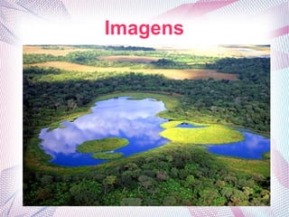 Imagens
 