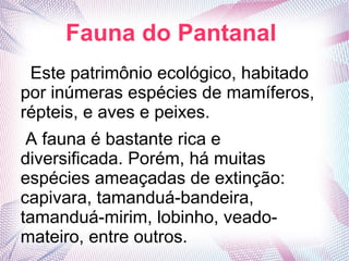 Fauna do Pantanal
Este patrimônio ecológico, habitado
por inúmeras espécies de mamíferos,
répteis, e aves e peixes.
A fauna é bastante rica e
diversificada. Porém, há muitas
espécies ameaçadas de extinção:
capivara, tamanduá-bandeira,
tamanduá-mirim, lobinho, veado-
mateiro, entre outros.
 