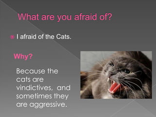 What are youafraid of?I afraid of the Cats.Why?Because thecats are vindictives,  and sometimes they are aggressive.