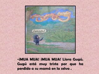 -¡MUA MUA! ¡MUA MUA! Llora Gugú. Gugú está muy triste por que ha perdido a su mamá en la selva .