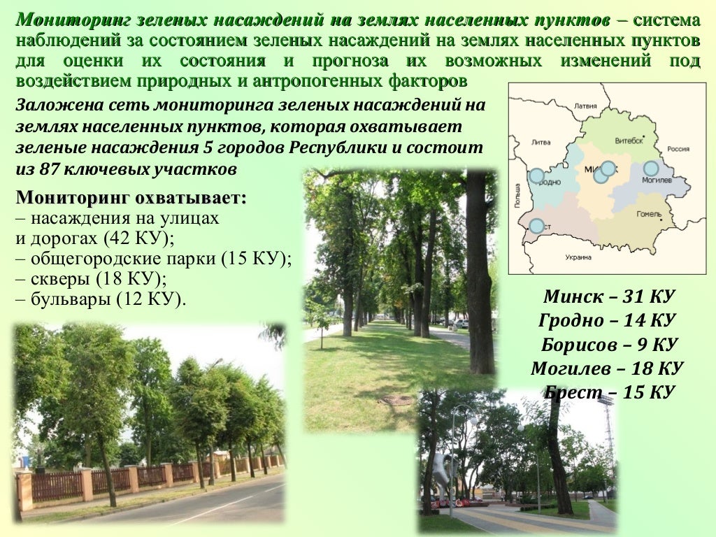 Закон о растительном мире республики беларусь. Уголовный и административный кодекс. Туристский кадастр области. Закон о растительном мире республики беларусь. Выжигание сухой растительности запрещено.