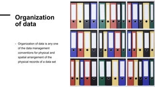 Organisation Data Set Monitor-and-support-data-conversion 1 1.pptx