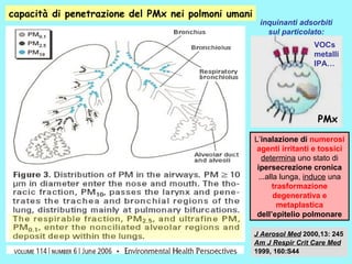 Monitoraggio Pontecagnano Picentini 13 12 08