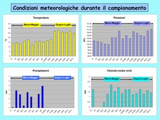 Monitoraggio Pontecagnano Picentini 13 12 08