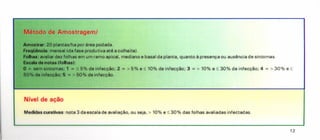 Medidas curativas: nota 3 da escala de avaliação, ou seja, > 10% e ~ 30 % das folhas avaliadas infectadas.
Método de Amostragem)
Amostral': 20 plantas/ha por área podada.
Freqü6ncia: mensal (da fase produtiva até a colheita).
Folhas: avaliar dez folhas em um ramo apical, mediano e basal da planta, quanto à presença ou ausência de sintomas.
Escala de notas (folhasl:
O = sem sintomas; 1 = ~ 5% de infecção; 2 = > 5% e ~ 10% de infecção; 3 = > 10% e ~ 30% de infecção; 4 = > 30% e ~
50% de infecção; 5 = > 50% de infecção.
Nível de ação
12
 