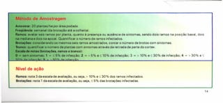 Método de Amostragem
Amostrar: 20 plantas/ha por área podada.
Freqüência: semanal (da brotação até a colheita).
Ramos: avaliar seis ramos por planta, quanto à presença ou ausência de sintomas, sendo dois ramos na posição basal, dois
na mediana e dois na apical. Quantificar o número de ramos infectados.
Brotações: considerando os mesmos seis ramos amostrados, contar o número de brotos com sintomas.
Tronco: quantificar o número de plantas com sintomas através da retirada de parte do cortex.
Escala de notas Ibrotações, ramos e tronco):
O = sem sintomas; 1 = :::;
5% de infecção; 2 = > 5% e:::; 10% de infecção; 3 = > 10% e s 30% de infecção; 4 = > 30% e s
";1"101_
.4a·' -. c;. "I"OL .4a .
Nível de ação
Ramos: nota 3 da escala de avaliação, ou seja, > 10% e s 30% dos ramos infectados.
Brotações: nota 1 da escala de avaliação, ou seja,:::; 5% das brotações infectadas.
14
 