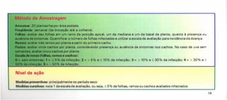 Medidas preventivas: principalmente no período seco
Medidas curativas: nota 1 da escala de avaliação, ou seja, ~ 5 % de folhas, ramos ou cachos avaliados infectados.
Método de Amostragem
Amostr.: 20 plantas/ha por área podada.
Freqüência: semanal (da brotação até a colheita).
Folhas: avaliar dez folhas em um ramo da posição apical, um da mediana e um da basal da planta, quanto à presença ou
ausência de sintomas. Quantificar o número de folhas infectadas e utilizar a escala de avaliação para incidência da doença.
Remos: avaliar três ramos por planta a partir do primeiro cacho.
Fnrto : avaliar vinte cachos por planta, considerando presença ou ausência de sintomas nos cachos. No caso de uva sem
sementes, avaliar cinco cachos por planta.
de notas (follas, ramos e cachos):
O- sem sintomas; 1 = ~ 5% de infecção; 2 = > 5% e ~ 10% de infecção; 3 = > 10% e ~ 30% de infecção; 4 = > 30% e ~
50% de infecção; 5 = > 50% de infecção.
Nível de ação
16
 