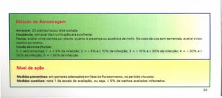 Medidas preventivas: em pomares adensados em fase de florescimento, no período chuvoso.
Medidas curativas: nota 1 da escala de avaliação, ou seja, :o; 5% de cachos avaliados infectados.
Método de Amostragem
Amostrar: 20 plantas/ha por área podada.
fleqQIncla: semanal (da frutificação até a colheita).
to : avaliar vinte cachos por planta, quanto à presença ou ausência de mofo. No caso de uva sem sementes, avaliar cinco
ceoho por planta.
011•• de notas (frutos):
:~~. m tntomas; 1 = S 5% de infecção; 2 = > 5% e:O;10% de infecção; 3 = > 10% e:O;30% de infecção; 4 = > 30% e:O;
t: nfecçlo; 5 = < 50% de infecção.
Nível de ação
22
 