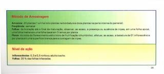 Inflorescências: 0,3 a 0,5 ninfa ou adulto/cacho.
Folhas: 20 % das folhas infestadas.
Método de Amostragem
Amostr.: 20 plantas/1 a 4 ha {oito plantas na bordadura e doze plantas na parte interna do parreira!}.
ffeqü6nc1a: semanal.
Folhas: da brotação até o final da maturação, observar, ao acaso, a presença ou ausência de tripes, em uma folha apical,
uma folha mediana e uma folha basal em 3 ramos por planta.
H: do início do florescimento até o início de frutificação {chumbinho}, efetuar, ao acaso, a batedura de 01 inflorescência
por planta em uma superfície branca para a contagem de tripes.
Nível de ação
26
 