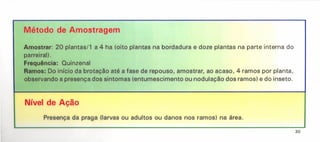 Presença da praga (larvas ou adultos ou danos nos ramos) na área.
Método de Amostragem
Amostrar: 20 plantas/1 a 4 ha (oito plantas na bordadura e doze plantas na parte interna do
parreiral) .
Frequência: Quinzenal
Ramos: Do início da brotação até a fase de repouso, amostrar, ao acaso, 4 ramos por planta,
observando a presença dos sintomas (entumescimento ou nodulação dos ramos) e do inseto.
Nível de Ação
30
 