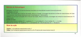 Método de Amostragem
Amostrar: 20 plantas/1 a 4 ha (oito plantas na bordadura e doze plantas na parte interna do parreiral).
Freqüência: semanal
Folhas: da broteçêo até o final da maturação, efetuar, ao acaso, a contagem de adultos e ninfas de mosca branca, em duas
folhas apicais, duas folhas medianas e duas folhas basais em 1 ramo/planta.
Cachos: do início da frutificação até o final da maturação, efetuar, ao acaso, a contagem de ninfas de mosca branca em 10
bagas/cacho.
&0111 de notas:
Pari ninfls (folhas e cachos): O = ausência; 1 = 1 a 2 ninfas; 2 = 3 a 4 ninfas; 3 = > 4 ninfas
Pari adultos (folhas): O =ausência; 1 = 1 a 5 adultos; 2 = 6 a 10 adultos; 3 = > 10 adultos
Nível de ação
Cachos: 1 a 2 ninfas de mosca branca (nota 1).
Folhas: 3 a 4 ninfas de mosca branca (nota 2) ou 6 a 10 adultos de mosca branca (nota 2).
32
 
