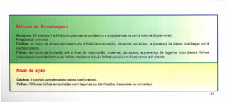 Cachos: 5 cachos apresentando danos (perfurados).
Folhas: 10% das folhas amostradas com lagartas ou danificadas (raspadas ou cortadas).
Método de Amostragem
Amostrer: 20 plantas/1 a 4 ha (oito plantas na bordadura e doze plantas na parte interna do parreiral).
FreqüIncia: semanal
Cacho : no inrcio de amadurecimento até o final da maturação, observar, ao acaso, a presença de danos nas bagas em 4
cachosl planta.
: do inrcio da brotação até o final de maturação, observar, ao acaso, a presença de lagartas e/ou danos (folhas
spadas ou cortadas) em duas folhas medianas e duas folhas apicais em duas ramos por planta.
Nível de ação
34
 