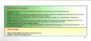 Método de Amostragem
Amostrar: 20 plantas/1 a 4 ha (oito plantas na bordadura e doze plantas na parte interna do parreiral).
Freqüência: mensal.
Folhas: da brotação até o final da maturação, observar, ao acaso, a presença ou ausência de cochonilhas, em duas folhas
apicais, duas folhas medianas e duas folhas basais em 5 ramos/planta.
Cachos: do início da frutificação até o final da maturação, observar, ao acaso, em 1 cacho/planta a presença ou
ausência de cochonilhas.
1i'onco e ramos: da brotação até o repouso, amestrar, ao acaso, 20 troncos e 5 ramos/planta. Observar em 50 cm de
comprimento acima e abaixo da curvatura do tronco e em 40 cm de comprimento do ramo.
&ol1a de Notas (tronco, ramos, folhas e cachos):
O - ausência de cochonilha; 1 = 1 a 25% de infestação; 2 = 26 a 50 % de infestação; 3 = 51 a 75 % de infestação; 4 = 76
a 100% do de infestação.
Nível de ação
Tronco. ramos e folhas: 26 a 50% de infestação (nota 2).
Cachos: 1 a 25% de infestação (nota 1).
36
 