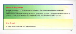 10% das folhas amostradas com ácaros ou danos.
Método de Amostragem
Amostrar: 20 plantas/l a 4 ha (oito plantas na bordadura e doze plantas na parte interna do parreiral).
Freqüência: semanal
Folhas: do início da brotação até a fase de repouso, observando, ao acaso, a presença ou ausência do ácaro ou
os danos, em duas folhas apicais em 5 ramos/planta. Utilizar uma lupa de bolso de 2,5 x 2,5 cm.
Nível de ação
38
 