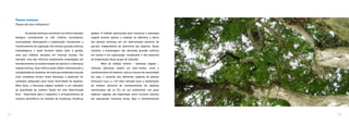 Plantas lenhosas
Porque são bons indicadores?
	 As plantas lenhosas constituem um ótimo indicador
biológico considerando os três critérios norteadores:
racionalidade, desempenho e implantação. Geralmente, o
monitoramento da vegetação não envolve grandes esforços
metodológicos e pode fornecer dados úteis à gestão,
visto que refletem pressões em diversas escalas. Por
exemplo, uma das métricas amplamente empregadas em
monitoramentos da biodiversidade de plantas é a biomassa
vegetal lenhosa. Essa métrica pode refletir indiretamente a
complexidade do ambiente, de modo que ambientes naturais
mais complexos teriam maior biomassa e poderiam ter
condições adequadas para maior diversidade de espécies.
Além disso, a biomassa vegetal também é um indicativo
da quantidade de carbono fixado em uma determinada
área – importante para o sequestro e armazenamento de
carbono atmosférico no contexto de mudanças climáticas
globais. O método selecionado para mensurar a biomassa
vegetal envolve apenas a medição do diâmetro e altura
das plantas lenhosas em um determinado tamanho de
parcela, independente da taxonomia das espécies. Dessa
maneira, a amostragem não demanda grandes esforços
em campo e em capacitação, ressaltando o alto potencial
de implantação desse grupo de indicador.
	 Além do módulo mínimo – biomassa vegetal –,
módulos adicionais podem ser bem-vindos, como o
monitoramento de espécies-alvo ou mesmo da comunidade
(ou seja, o conjunto das diferentes espécies de plantas
lenhosas) (Figura 4). Um bom exemplo para a implantação
do módulo adicional de monitoramento de espécies
selecionadas são as UCs de uso sustentável, nas quais
espécies vegetais são exploradas como recursos naturais
por populações humanas locais. Aqui o monitoramento
3938
 