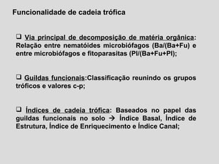 Funcionalidade de cadeia trófica
 Via principal de decomposição de matéria orgânica:
Relação entre nematóides microbiófagos (Ba/(Ba+Fu) e
entre microbiófagos e fitoparasitas (Pl/(Ba+Fu+Pl);
 Guildas funcionais:Classificação reunindo os grupos
tróficos e valores c-p;
 Índices de cadeia trófica: Baseados no papel das
guildas funcionais no solo  Índice Basal, Índice de
Estrutura, Índice de Enriquecimento e Índice Canal;
 