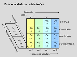 Funcionalidade de cadeia trófica
Ca2
Om4 Om5
Ca3 Ca4 Ca5
Fu2 Fu3 Fu4 Fu5
Ba1
Fu2
Ba2 Ba3 Ba4 Ba50.8
3.2
0.8
0.8
0.8
1.8
1.8
1.8
3.2 5.0
5.0
5.0
5.0
3.2
3.2
3.2
Basal
Estruturado
Enriquecido
FUNGÍVOROS
cp-2 cp-3 cp-4 cp-5
B M
E ONÍVOROS
CARNÍVOROS
BACTERIÓFAGOS
cp-1
cp-2
Trajetória de Estrutura
TrajetóriadeEnriquecimento
 