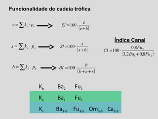 Funcionalidade de cadeia trófica
( )be
e
EI
+
⋅=100
( )bs
s
SI
+
⋅=100
( )seb
b
BI
++
⋅=100∑ ⋅= bb pkb
∑ ⋅= ee pke
∑ ⋅= ss pks
Kb Ba2 Fu2
Ke Ba1 Fu2
Ks Ba3-5 Fu3-5 Om3-5 Ca2-5
( )21
2
8,02,3
8,0
100
FuBa
Fu
CI
+
⋅=
Índice Canal
 